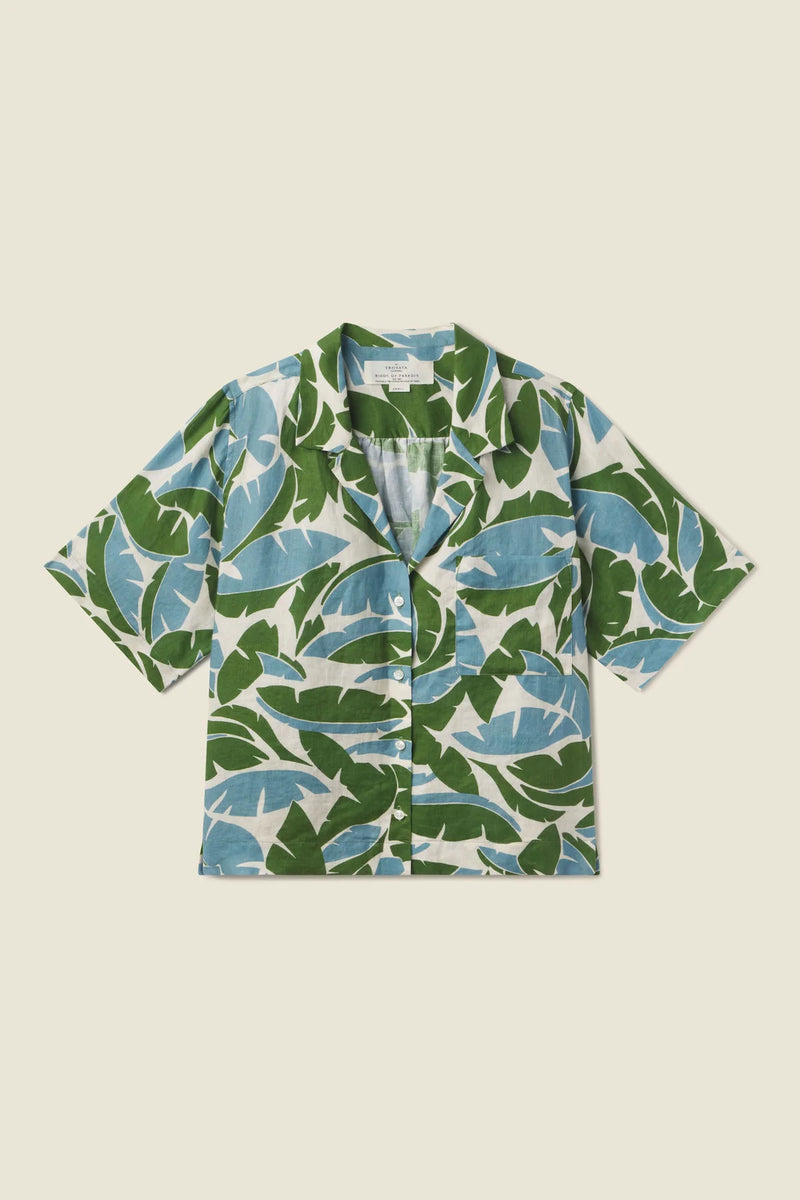 Nico Shirt ~ Plantain Leaf